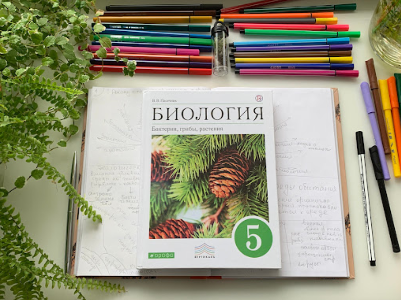 [Алина Чабуткина] БотаникУм (2023)_0.png